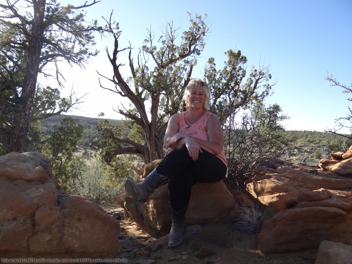 2.8 acres in Candy Kitchen New Mexico with a Rough Little Off Grid Cabin.